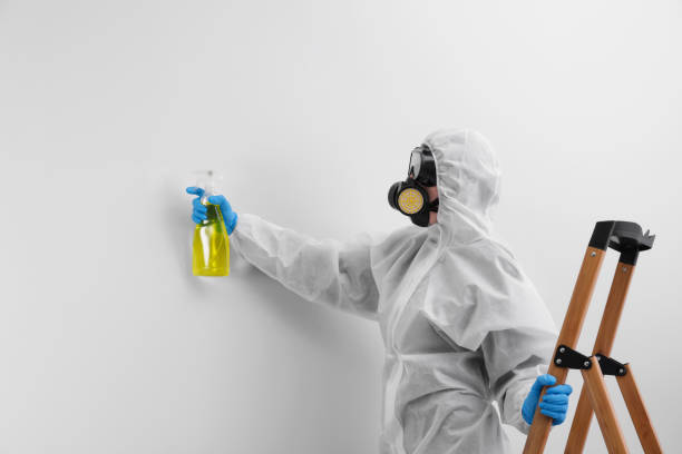 Why You Should Choose Our Mold Remediation Services in Northfield, MN